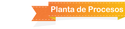 ribbon planta procesos